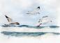 Preview: Postkarte DIN-A6  Aquarell Maritim Kunst Druck Dänemark Nordsee Ostsee Düne Dünen Meer Möwe Möwen Strand